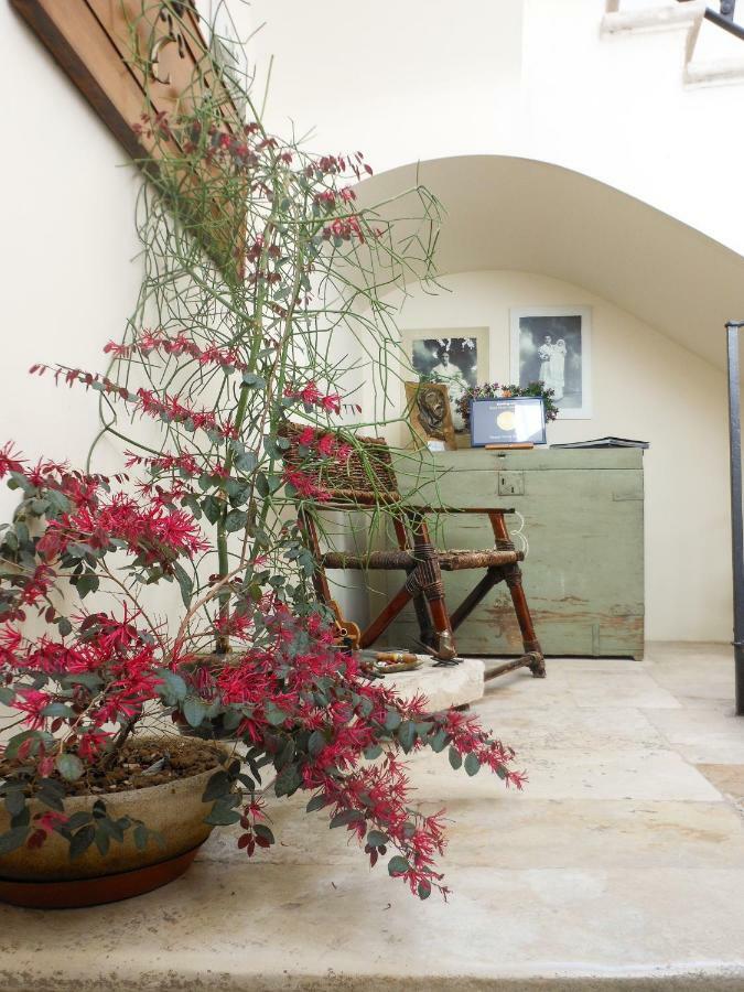 Palazzo Antica Via Appia Bed & Breakfast Bitonto Dış mekan fotoğraf